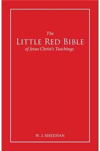 Little Red Bible of Jesus Christ's Teachings - The Words in Red