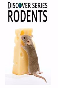Discover Series Rodents