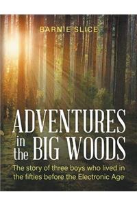Adventures in the Big Woods