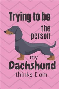 Trying to be the person my cute Dachshund Puppy thinks I am
