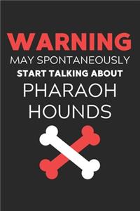 Warning May Spontaneously Start Talking About Pharaoh Hounds