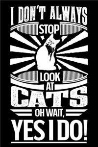 I Don't Always Stop Look At Cats OH Wait Yes I Do