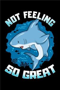 Not Feeling So Great