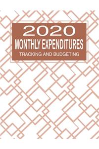 2020 Monthly Expenditures
