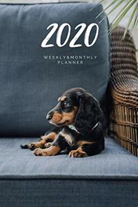 2020 Weekly & Monthly Planner