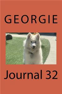 Journal 32