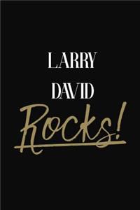Larry David Rocks!