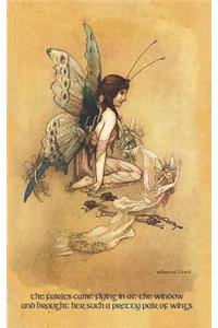 The Fairies Came Flying In At The Window