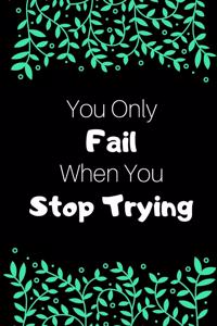 You Only Fail When You Stop Trying