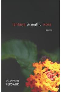 Lantana Strangling Ixora