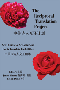 Reciprocal Translation Project
