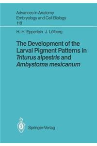 Development of the Larval Pigment Patterns in Triturus Alpestris and Ambystoma Mexicanum