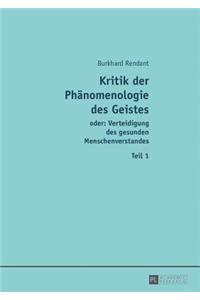 Kritik Der Phaenomenologie Des Geistes