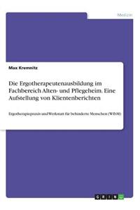 Ergotherapeutenausbildung im Fachbereich Alten- und Pflegeheim. Eine Aufstellung von Klientenberichten