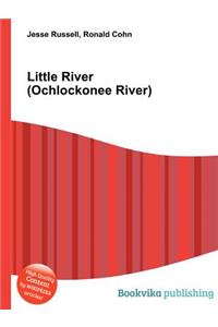 Little River (Ochlockonee River)