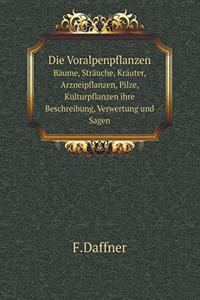 Die Voralpenpflanzen Bäume, Sträuche, Kräuter, Arzneipflanzen, Pilze, Kulturpflanzen Ihre Beschreibung, Verwertung Und Sagen