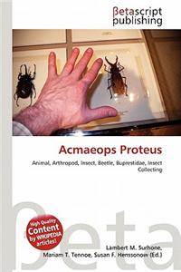 Acmaeops Proteus