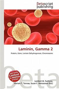 Laminin, Gamma 2