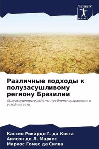 Различные подходы к полузасушливому рег