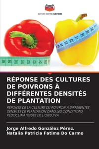 Réponse Des Cultures de Poivrons À Différentes Densités de Plantation