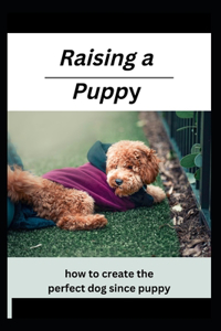 Raising a Puppy