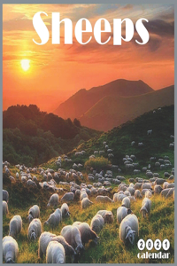 Sheeps 2021 Calendar