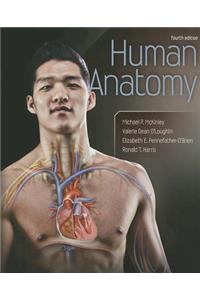 Human Anatomy
