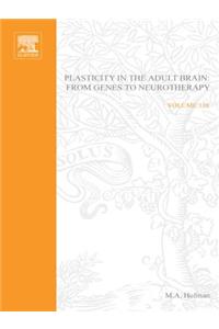 Plasticity in the Adult Brain