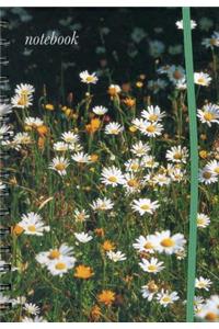Notebook (Field of Daisies)