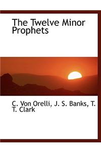 The Twelve Minor Prophets