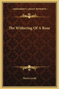 The Withering Of A Rose