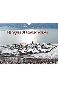 Vignes du Lavaux Vaudois 2017