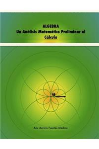 ALGEBRA. Un Análisis Matemático Preliminar al Cálculo