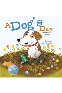 A Dog's Day