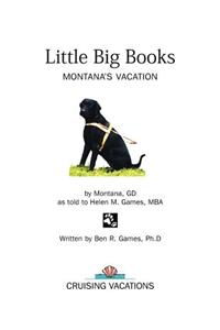 Little Big Books