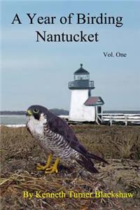 Year of Birding Nantucket