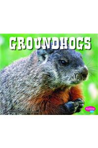 Groundhogs