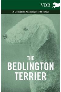 The Bedlington Terrier - A Complete Anthology of the Dog -