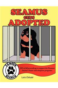 Seamus Gets Adopted