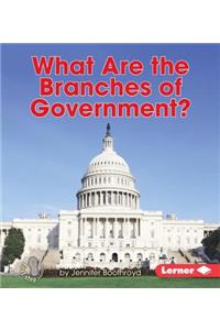What Are the Branches of Government?