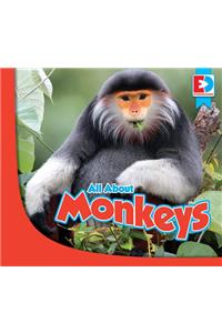 All about Monkeys
