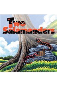 Two Salamanders