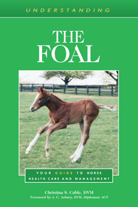 Understanding the Foal