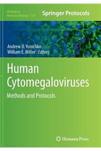 Human Cytomegaloviruses