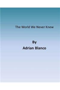 World We Never Knew