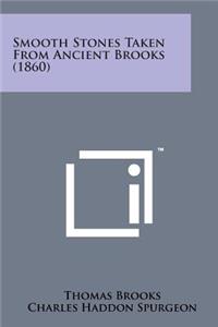 Smooth Stones Taken from Ancient Brooks (1860)