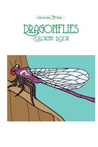 Dragonflies Coloring Book