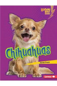 Chihuahuas