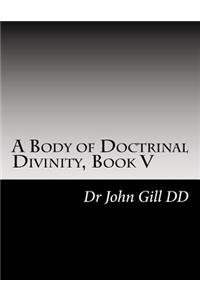 A Body of Doctrinal Divinity, Book V