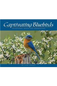 Captivating Bluebirds: Exceptional Images and Observations